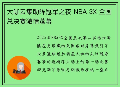 大咖云集助阵冠军之夜 NBA 3X 全国总决赛激情落幕